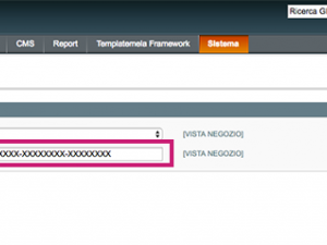7 - Inserire la API Key nell’apposito campo e salvare la configurazione.